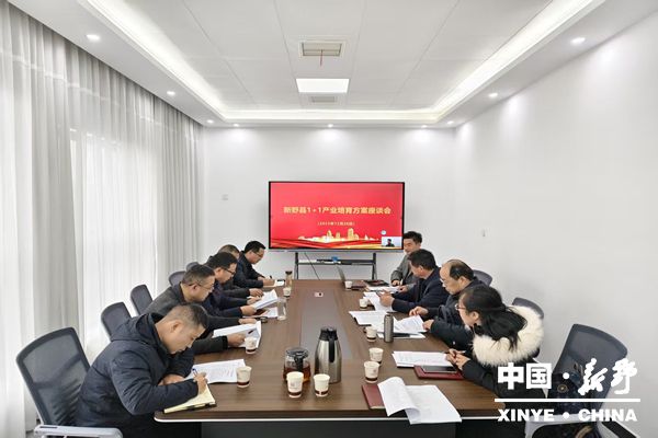 新野县召开“1+1”产业培育座谈会 擘画纺织服装产业转型新蓝图