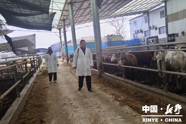 县畜牧发展中心多维发力，筑牢节日畜产品质量安全屏障