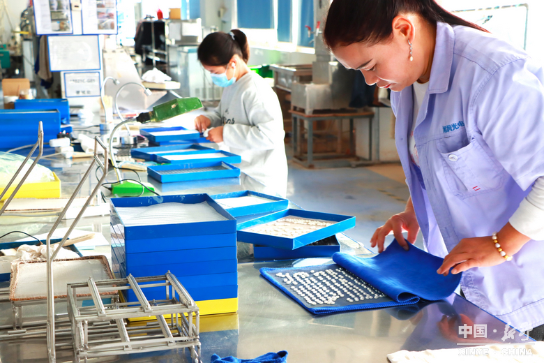 图说新野・2025全景答卷<br>——以光影为笔，绘就全域发展壮丽图景