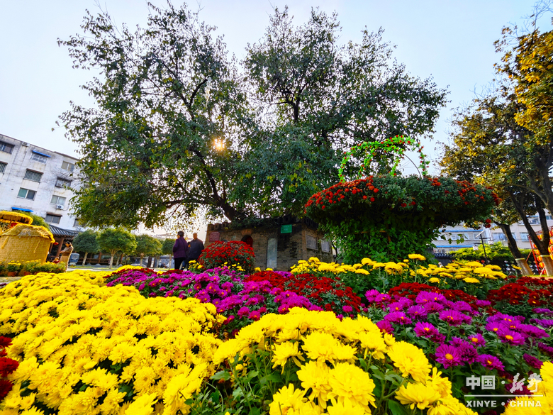 图说新野・2025全景答卷<br>——以光影为笔，绘就全域发展壮丽图景