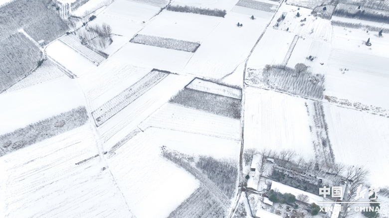 元日初晗、雪裹新野，泼墨留白、辞旧启新