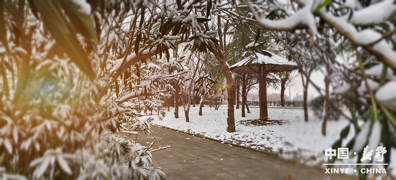元日初晗、雪裹新野，泼墨留白、辞旧启新