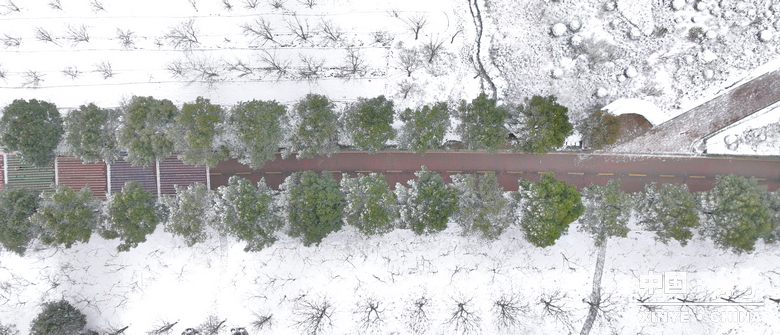 元日初晗、雪裹新野，泼墨留白、辞旧启新