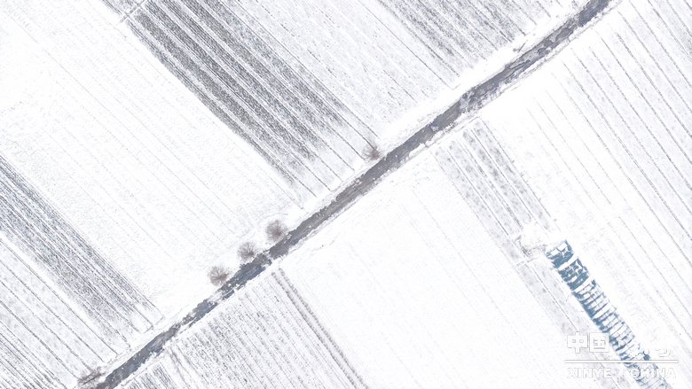 元日初晗、雪裹新野，泼墨留白、辞旧启新