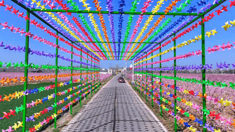 图说新野・2025全景答卷<br>——以光影为笔，绘就全域发展壮丽图景