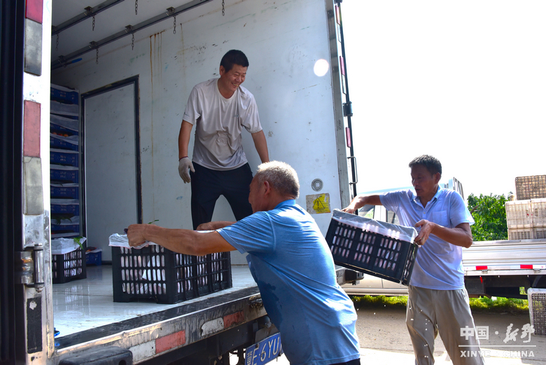 图说新野・2025全景答卷<br>——以光影为笔，绘就全域发展壮丽图景