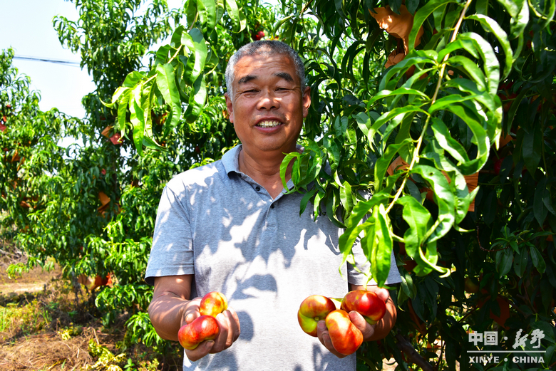 图说新野・2025全景答卷<br>——以光影为笔，绘就全域发展壮丽图景