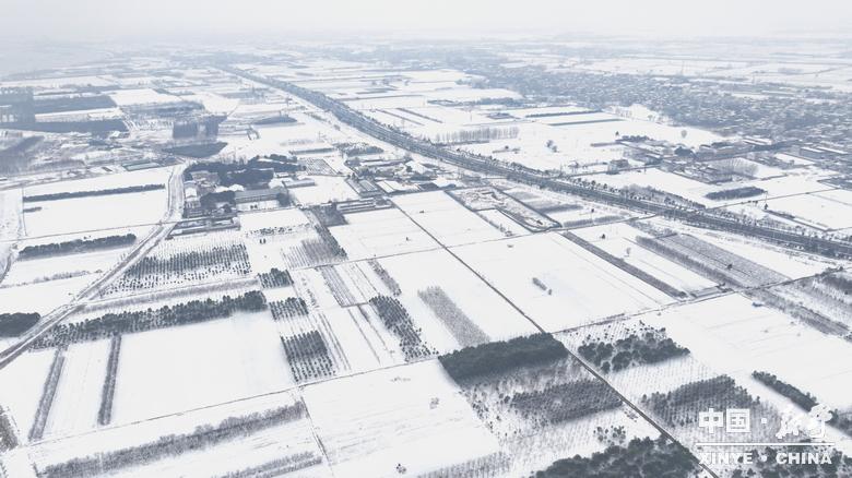 元日初晗、雪裹新野，泼墨留白、辞旧启新