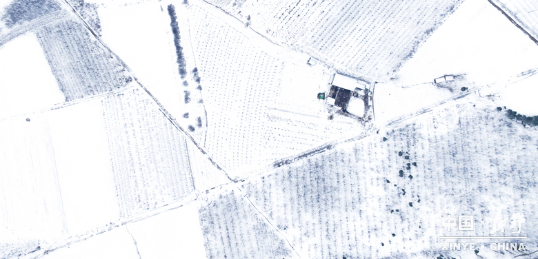 元日初晗、雪裹新野，泼墨留白、辞旧启新