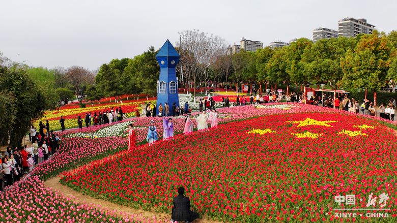 图说新野・2025全景答卷<br>——以光影为笔，绘就全域发展壮丽图景