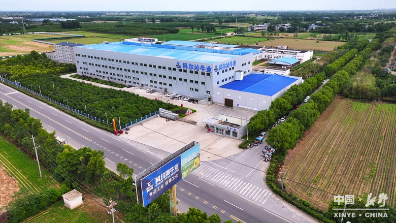 图说新野・2025全景答卷<br>——以光影为笔，绘就全域发展壮丽图景