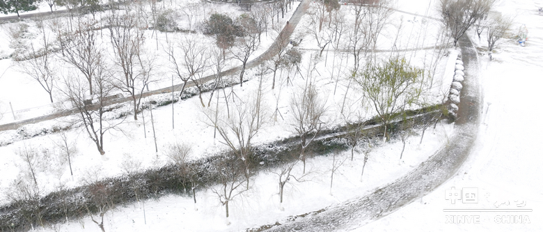 元日初晗、雪裹新野，泼墨留白、辞旧启新