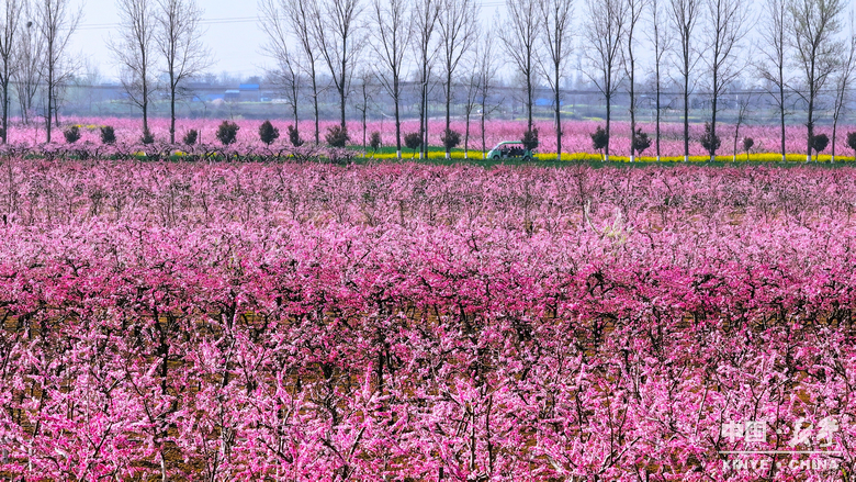 图说新野・2025全景答卷<br>——以光影为笔，绘就全域发展壮丽图景