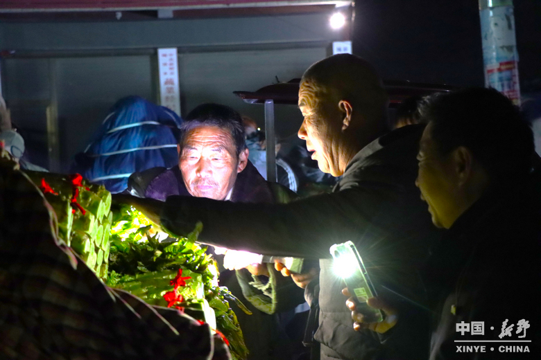 图说新野・2025全景答卷<br>——以光影为笔，绘就全域发展壮丽图景