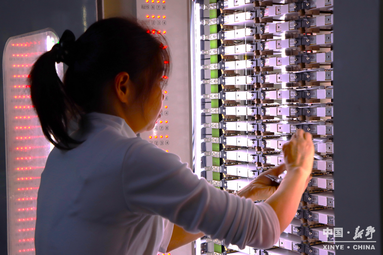 图说新野・2025全景答卷<br>——以光影为笔，绘就全域发展壮丽图景