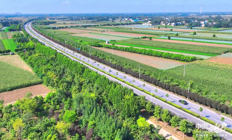 图说新野・2025全景答卷<br>——以光影为笔，绘就全域发展壮丽图景