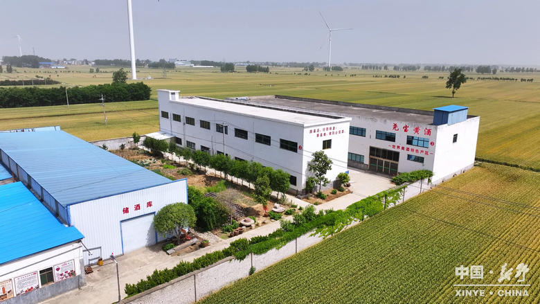 图说新野・2025全景答卷<br>——以光影为笔，绘就全域发展壮丽图景