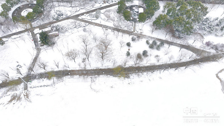 元日初晗、雪裹新野，泼墨留白、辞旧启新