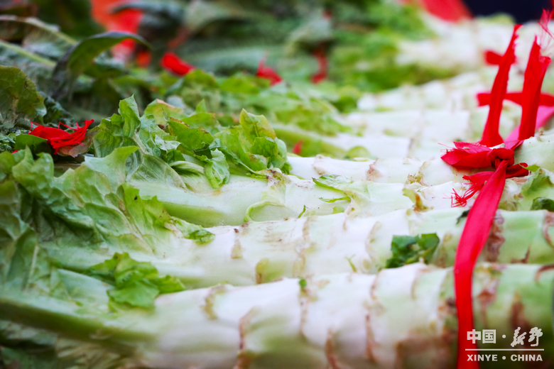 图说新野・2025全景答卷<br>——以光影为笔，绘就全域发展壮丽图景