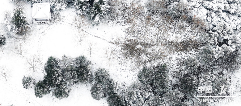 元日初晗、雪裹新野，泼墨留白、辞旧启新