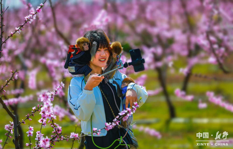 图说新野・2025全景答卷<br>——以光影为笔，绘就全域发展壮丽图景