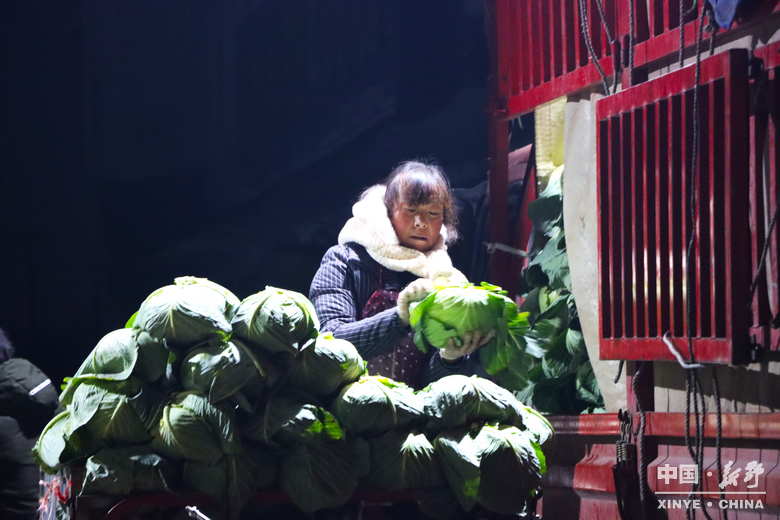 图说新野・2025全景答卷<br>——以光影为笔，绘就全域发展壮丽图景