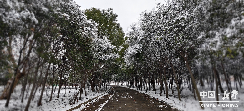 元日初晗、雪裹新野，泼墨留白、辞旧启新