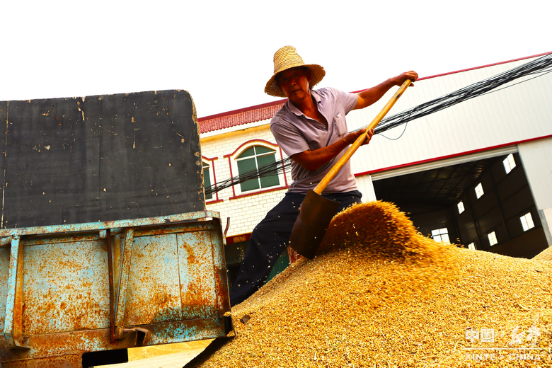 图说新野・2025全景答卷<br>——以光影为笔，绘就全域发展壮丽图景