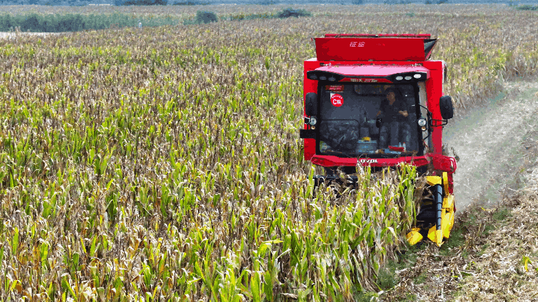 图说新野・2025全景答卷<br>——以光影为笔，绘就全域发展壮丽图景