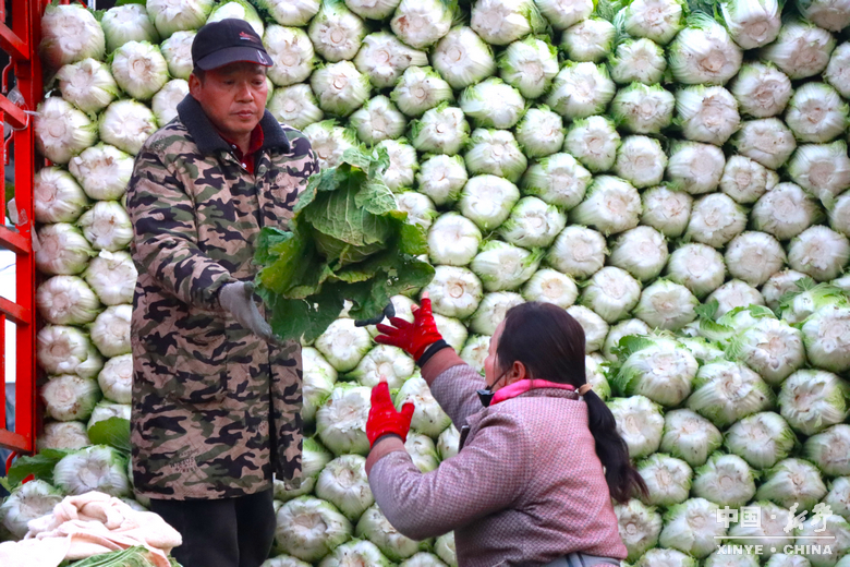 图说新野・2025全景答卷<br>——以光影为笔，绘就全域发展壮丽图景