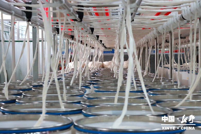 图说新野・2025全景答卷<br>——以光影为笔，绘就全域发展壮丽图景