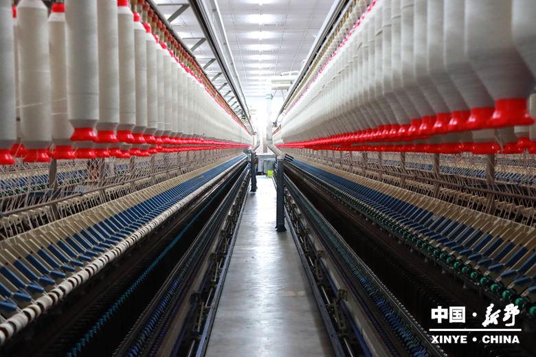 图说新野・2025全景答卷<br>——以光影为笔，绘就全域发展壮丽图景