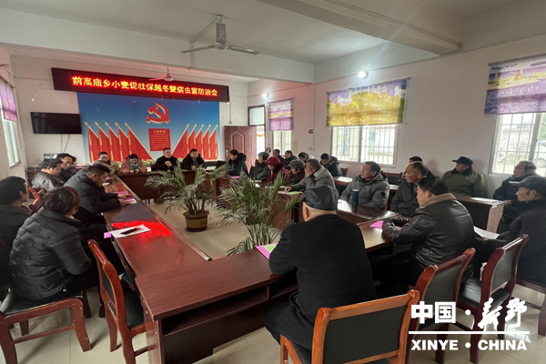 前高庙乡春季麦田管理正当时 技术指导到田间