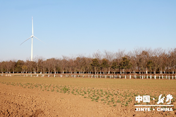 收官“十四五”硕果盈枝  开局“十五五”项目先行