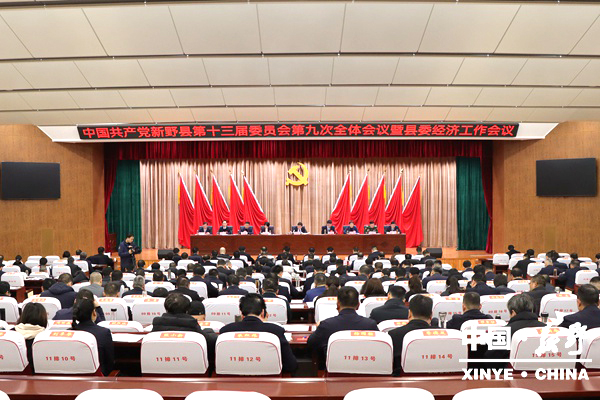 中国共产党新野县第十三届委员会第九次全体会议暨县委经济工作会议召开