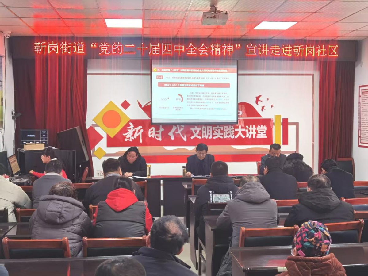 卧龙区靳岗街道：开展“党的二十届四中全会精神”宣讲进社区活动