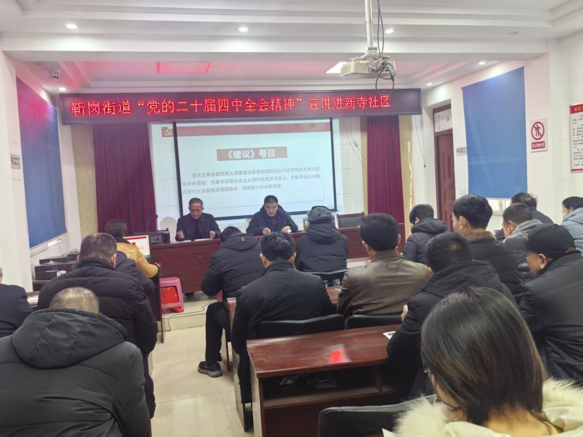 卧龙区靳岗街道：开展“党的二十届四中全会精神”宣讲进社区活动