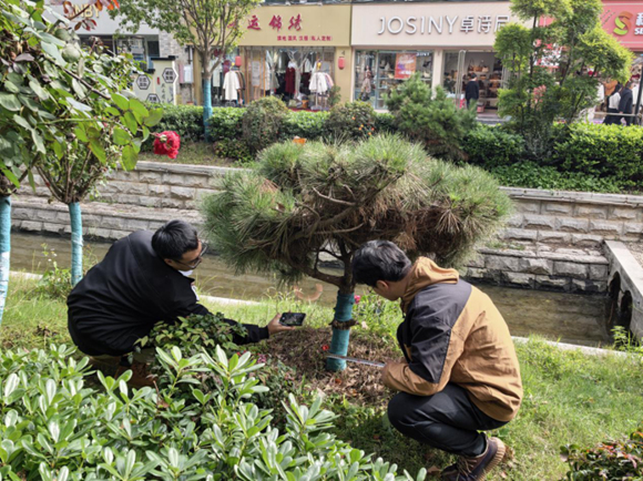 河南南阳：护航城市绿色发展