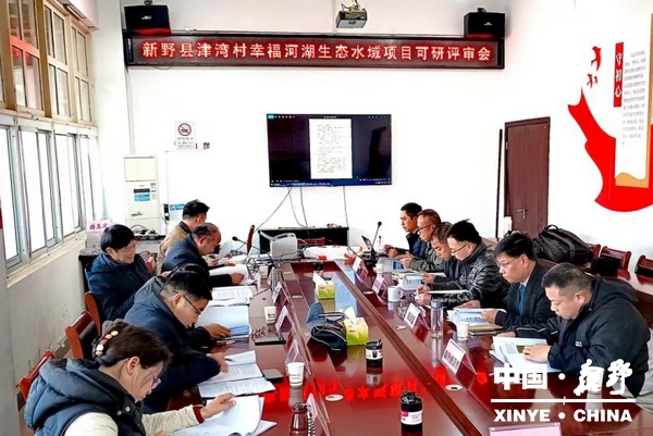 津湾村幸福河湖生态水域项目顺利通过评审 