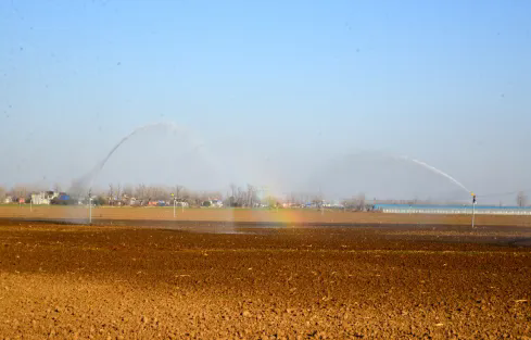 宛城区红泥湾镇小庄示范区：蹚出智慧农业振兴路