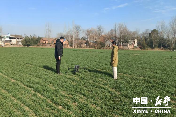 县统计局科技赋能四农普 精准开展秋冬播面积遥感测量