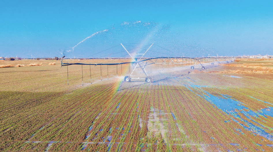 图说南阳|麦田浇水