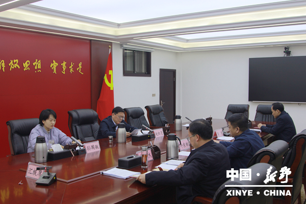 新野县委常委会会议学习习近平总书记在中央农村工作会议上的重要讲话精神