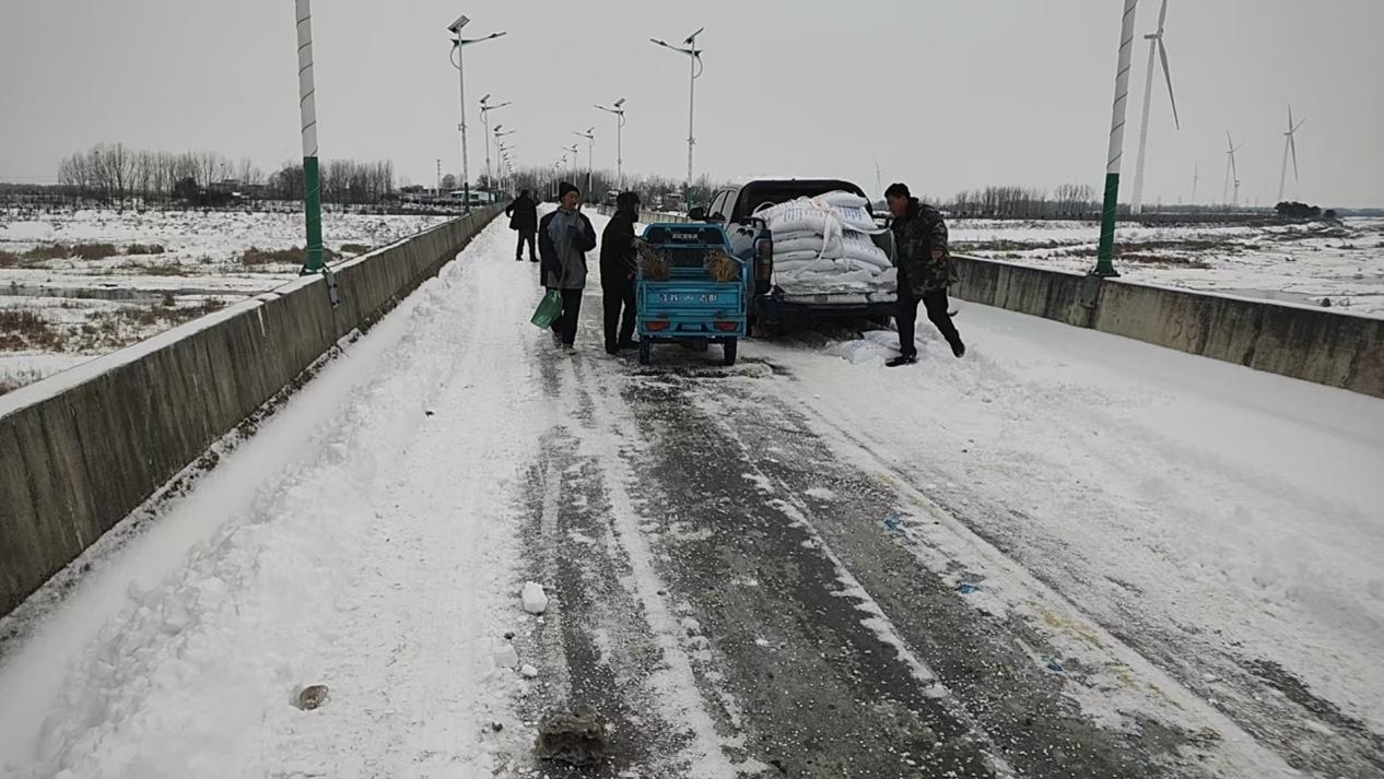 桐柏县平氏镇：以雪为令齐上阵 暖心除雪护平安