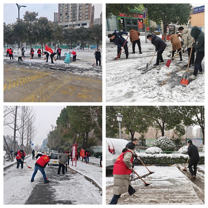 市生态环境局开展“铲冰除雪、保障出行”志愿服务活动