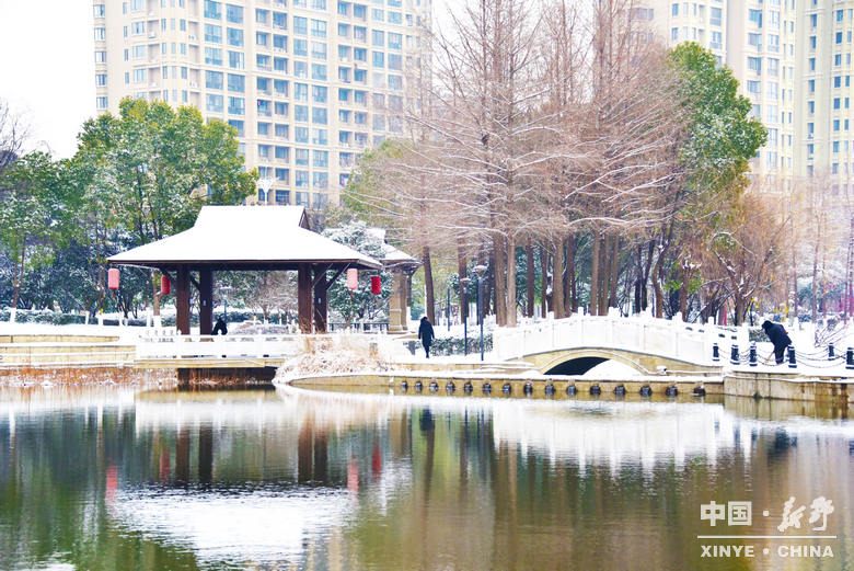 银装漫街巷 琼枝醉游人