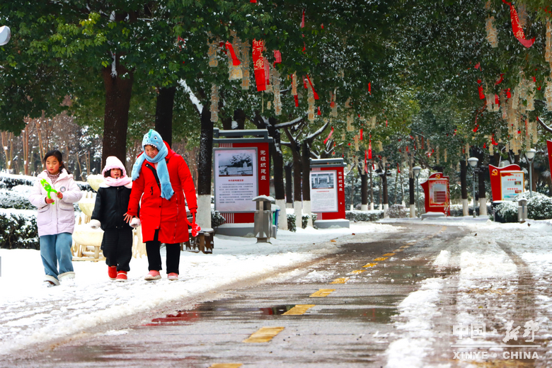 银装漫街巷 琼枝醉游人