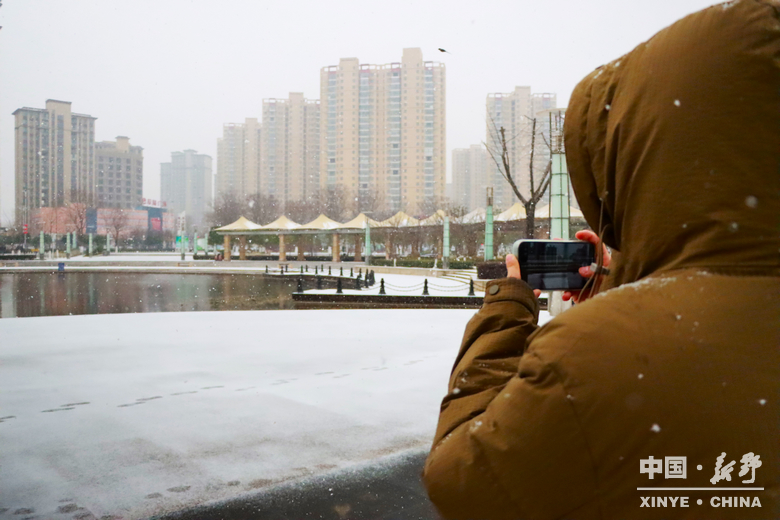 银装漫街巷 琼枝醉游人