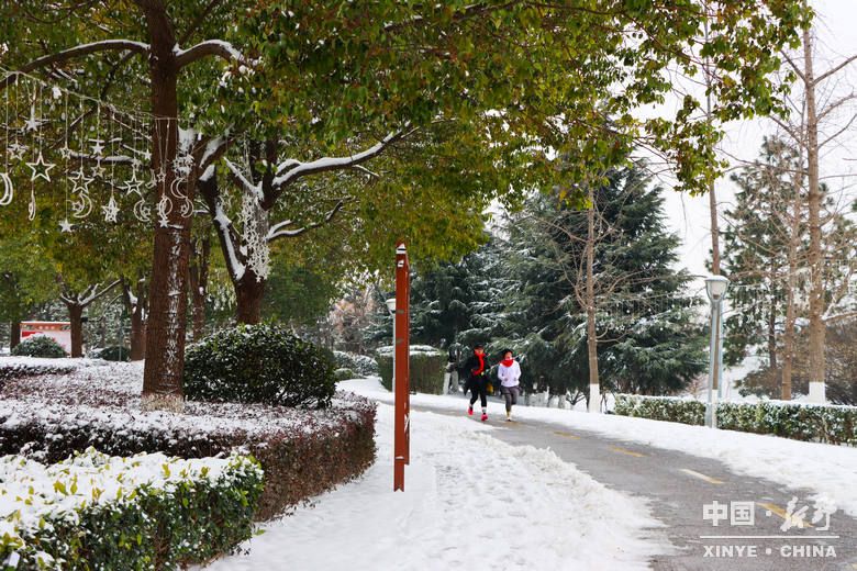 银装漫街巷 琼枝醉游人