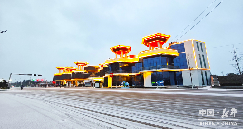 银装漫街巷 琼枝醉游人